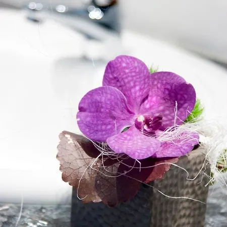 Hotel Logis Hotel-restaurant Dimmer 4*