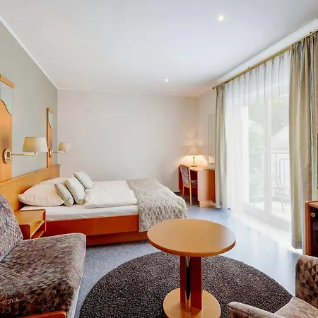 Logis Hotel-restaurant Dimmer 4* Wallendorf-Pont
