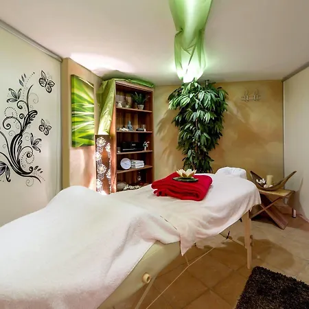 Logis Hotel-restaurant Dimmer Hotel 4*