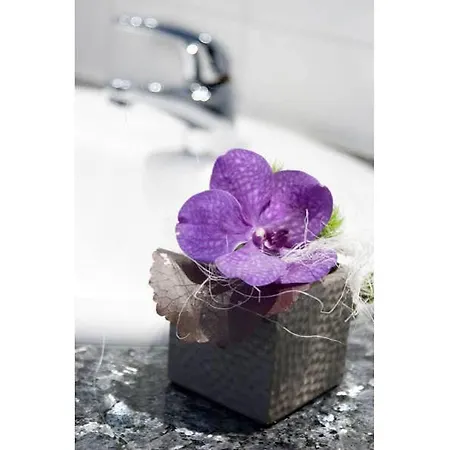 Logis Hotel-restaurant Dimmer Wallendorf-Pont